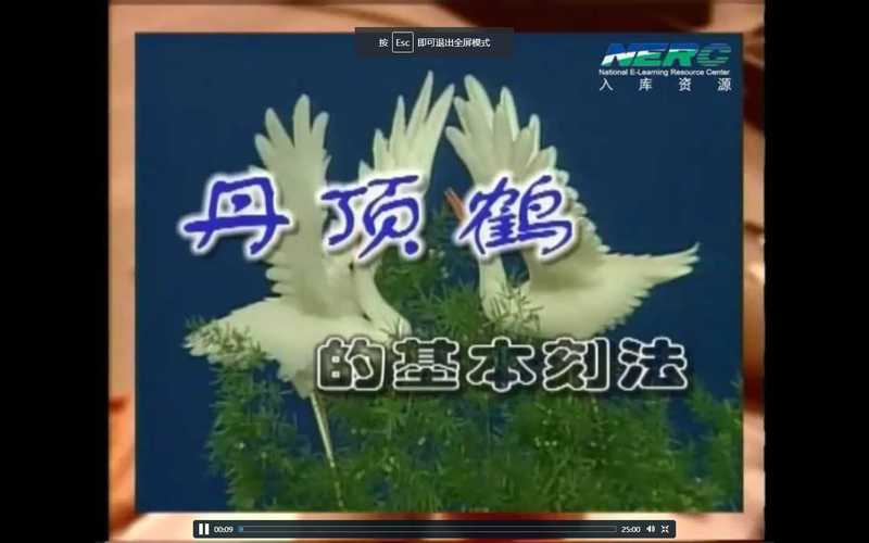 食品雕刻艺术