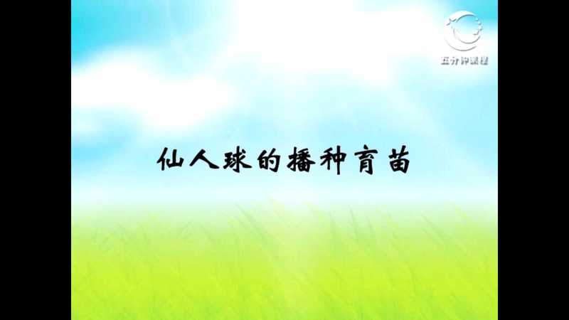 花卉种植（二）
