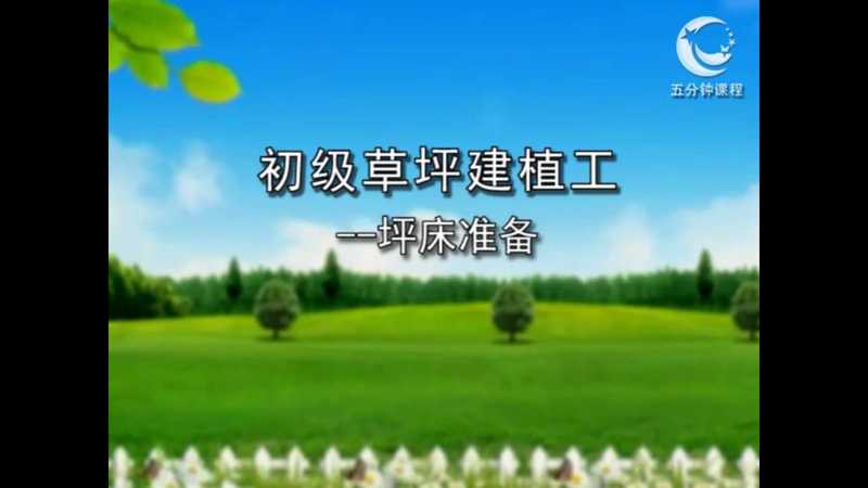 草坪建植