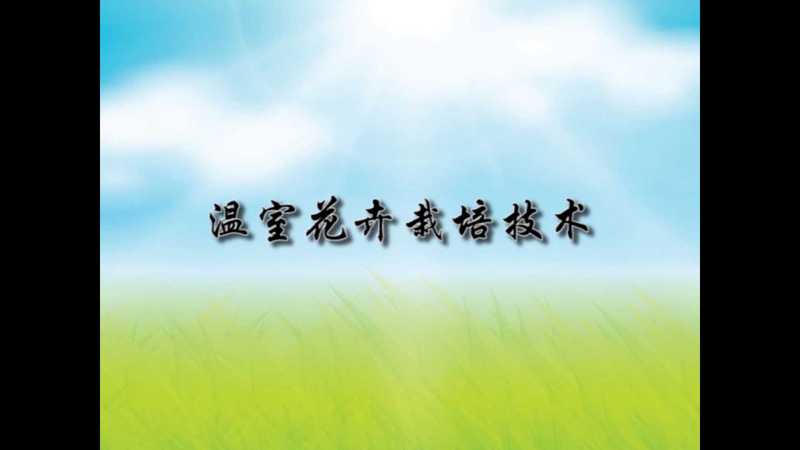 花卉种植（一）