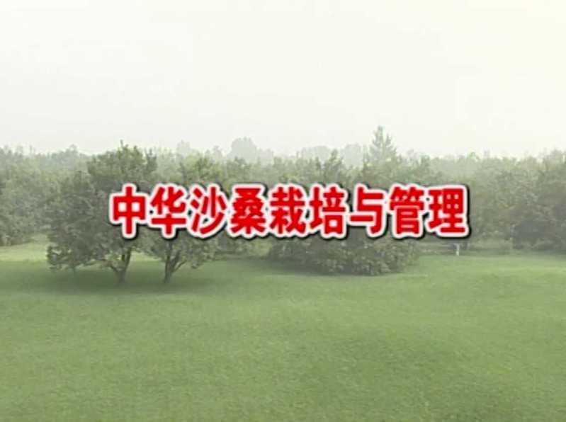 观赏植物、花草种植技术